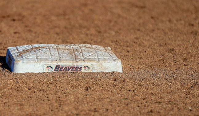 Beavers land 14 on Honor Roll